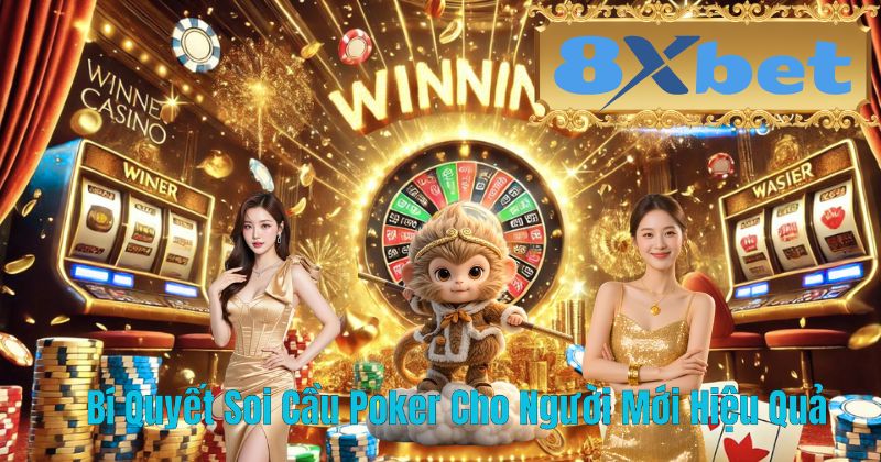 Bí Quyết Soi Cầu Poker Cho Người Mới Hiệu Quả