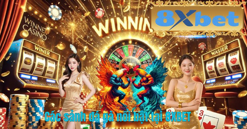 Các sảnh đá gà nổi bật tại 8XBET