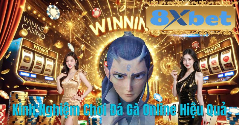 Kinh Nghiệm Chơi Đá Gà Online Hiệu Quả