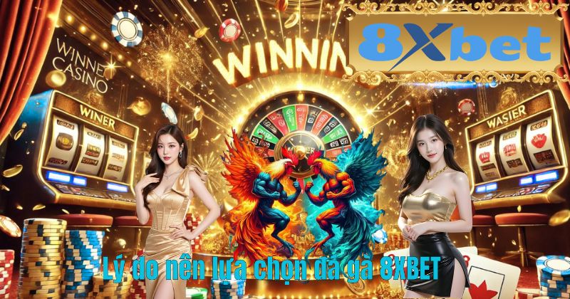 Lý do nên lựa chọn đá gà 8XBET
